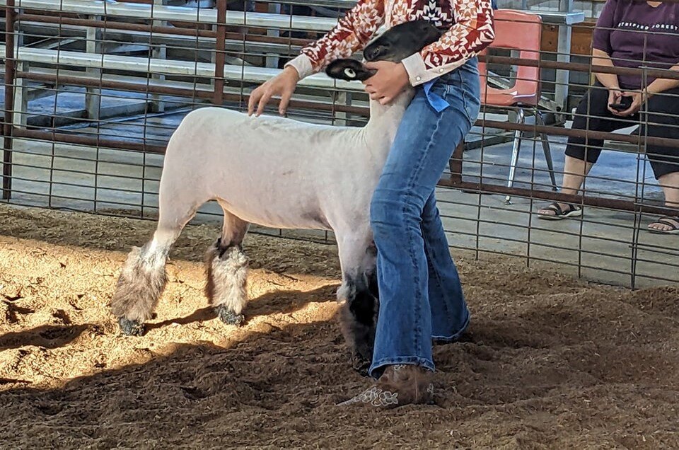 Lauren_showmanship_3_2